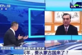 湖北护士拿斧头分蒙古国羊肉上热搜 画风搞笑笨拙的举动太可爱了图片