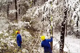 四川通江：抗雪灾供电抢修忙图片