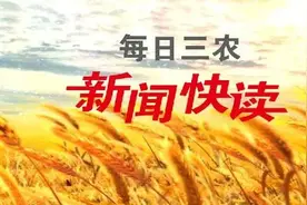 可杀灭新冠病毒的N95口罩投产了！一只能反复使用60次图片