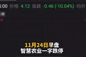 中国财富报道｜突发闪崩！暴涨240%“大妖股”栽了视频封面