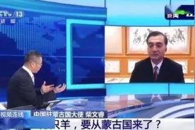 湖北护士拿斧头分蒙古国羊肉上热搜 画风搞笑笨拙的举动太可爱了图片