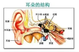 “前庭功能障碍”导致的眩晕，该如何防治？图片