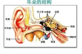 “前庭功能障碍”导致的眩晕，该如何防治？图片