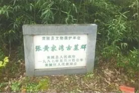 考古专家：武汉地区人类活动可提前至距今4万至1.5万年图片