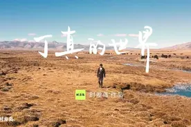 纯净视频！《丁真的世界》首发，康巴少年丁真牵着他的小马朝你走来了图片