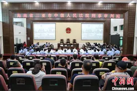垄断俄罗斯来三亚客源、组建“地下出警队”张某娟等涉黑入刑图片