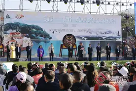 第一届西南坚果博览会在云南禄劝开幕图片