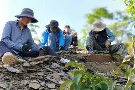 哎哟，不错哦！90后研究生将5亿年前三叶虫命名为“范特西虫”图片