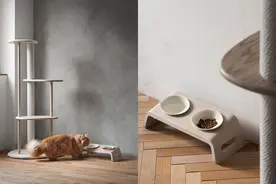 「是日美好事物」“猫餐桌”提升猫咪进餐体验，渡边直美合作包放飞色彩想象图片