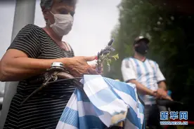 多国领导人哀悼马拉多纳背后：他的政治家“朋友圈”超出拉美图片