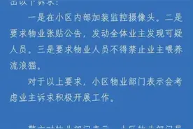 南京江宁警方回应流浪猫被虐杀：尚未涉及违法犯罪，但予以谴责图片