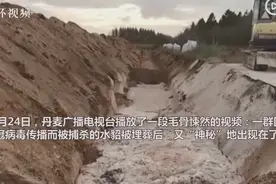 毛骨悚然！丹麦捕杀埋葬后的水貂被“挤回”地面，现场画面曝光图片