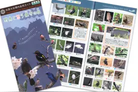 在岛根县出云市，农历十月是“神在月”，也是观鸟月图片