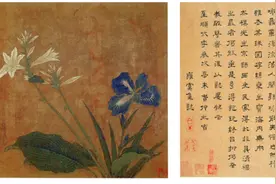 从未知国到异托邦：17-20世纪西方在中国的植物猎取①图片