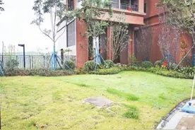喷绿漆？小区交房前给草坪“做”绿图片