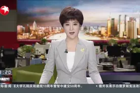 伪造“病退机票”非法牟利  上海警方侦破一起新型诈骗案视频封面