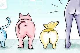 “屁股决定脑袋”不只是生活经验总结，更是科学图片