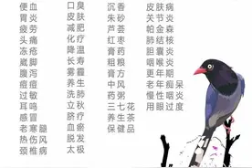 健脾祛湿佳品——参苓白术散图片