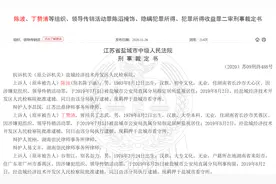 148亿元数字货币传销案细节：27名嫌犯藏匿海外被抓回图片
