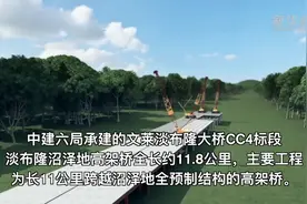 中国黑科技“钓鱼法”在文莱实现“零着陆”建桥视频封面