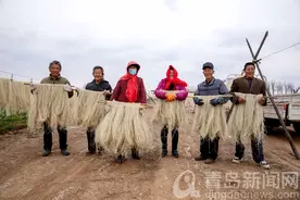 即墨金口镇池戈庄村 迎来地瓜粉条加工旺季图片