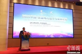 中国-东盟电力合作与发展论坛在南宁举办图片
