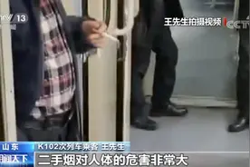 旅途变“囧途”！“绿皮车”惹上了官司...图片