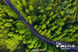 2019年度“十大最美农村路”在榕发布 鼓宦公路惊艳全国嘉宾图片