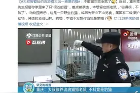 大叔报警捡的流浪猫太凶一查是豹猫：不敢留它抓老鼠了图片