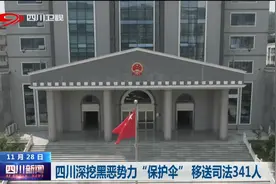四川新闻丨四川深挖黑恶势力“保护伞”移送司法341人图片