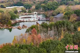 航拍苏州白马涧初冬 邂逅五彩斑斓的城市“氧吧”图片