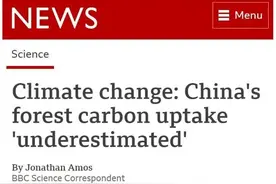 BBC：中国植树造林的作用“被低估了”图片
