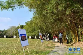 东莞市民摄影周开幕图片