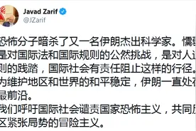 伊朗科学家遭暗杀，扎里夫用中文发推：呼吁国际社会谴责国家恐怖主义图片