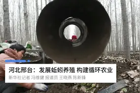 河北邢台：发展蚯蚓养殖 构建循环农业视频封面