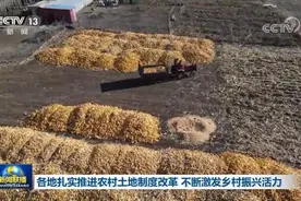 各地扎实推进农村土地制度改革 不断激发乡村振兴活力图片