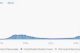 因检测系统出错，英国超1300人被误诊新冠图片