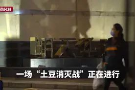“消灭土豆”！4吨土豆因疫情滞销全小区帮吃帮卖图片