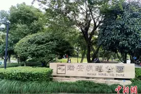浙江瑞安：“三生融合”打造千年古城“蜕变”记图片