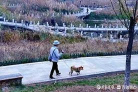 情报站｜冬日的济南孟家水库，诗情画意令人陶醉图片