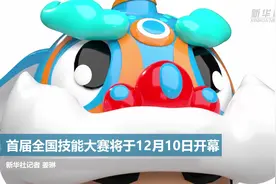 首届全国技能大赛将于12月10日开幕视频封面
