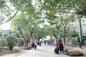 河北廊坊：冬日乐享室内游图片