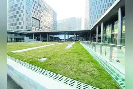 屋顶是草坪，下雨成“海绵”图片