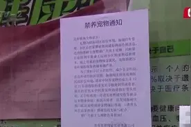 一刀切？青岛一小区全面禁止养宠物，你怎么看？图片