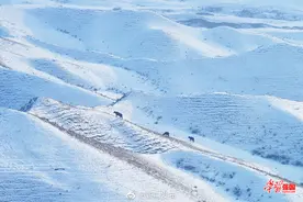 新疆奎屯河大峡谷：雪落添诗意图片