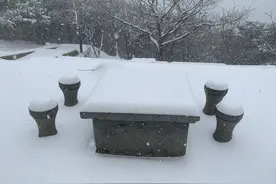 “河南的雪是人工降雪”上热搜！难道我们真的经历了一场假雪吗？图片