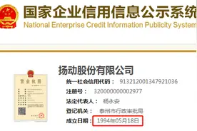 扬电科技历史沿革背景模糊，募投项目信息较环境局资料存重大差异图片