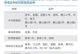 猕猴桃科技成果助推产业扶贫图片