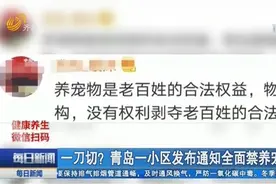 一刀切？青岛一小区发通知全面禁养宠物，物业：出台新规考虑不周视频封面