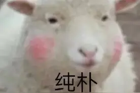 一碗地道的红烧羊肉，是冬日里的“松江米道”！鲜香不膻有窍门，快来学→图片
